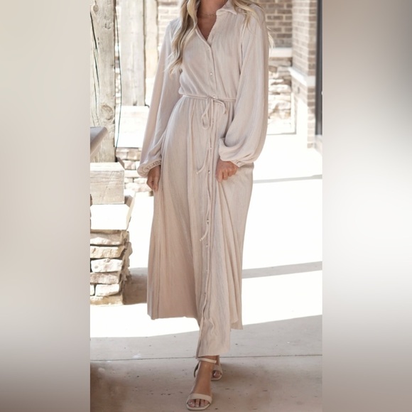 Pretty Button Down Pleated Maxi Dress - Champagne - Picture 6 of 6